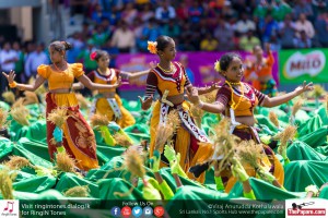 12080196_10154299773789251_6355510354057153159_o